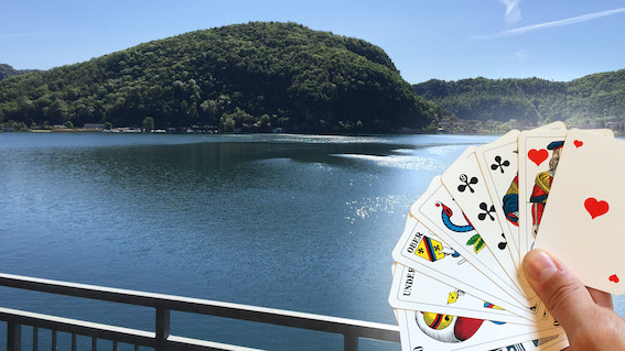 Makro Tessin klein.jpg